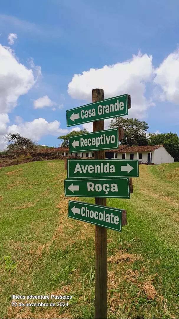 Quantos quilômetros tem de Ilhéus a Itacaré? Explore os destinos da Bahia